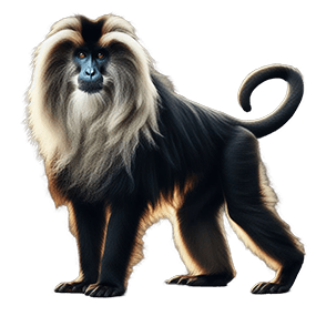 Real-time Wildlife Sightings