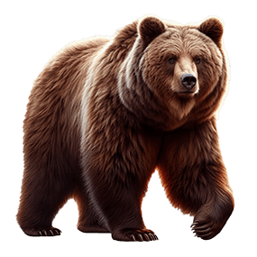 Smart Safari Calendar